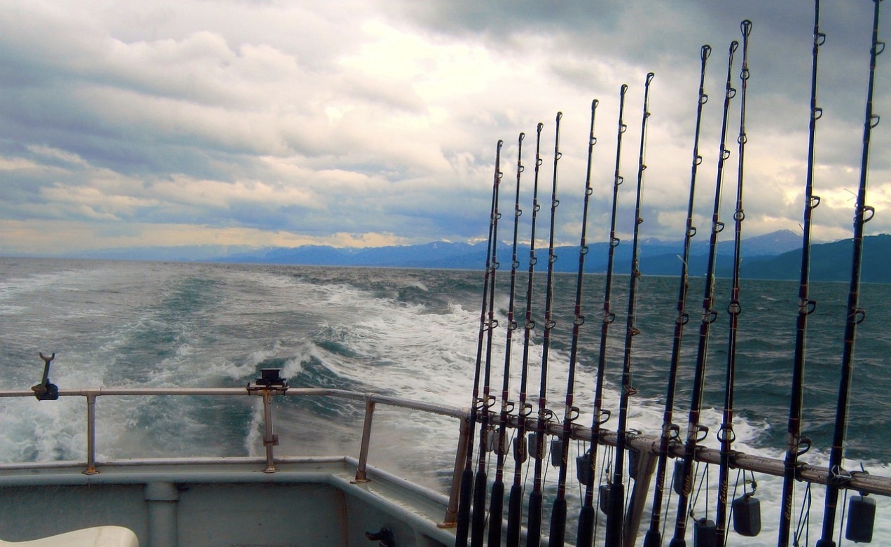 Fishing rods aboard a charter vessel